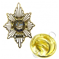 Worcestershire & Sherwood Foresters Lapel Pin Badge (Metal / Enamel)